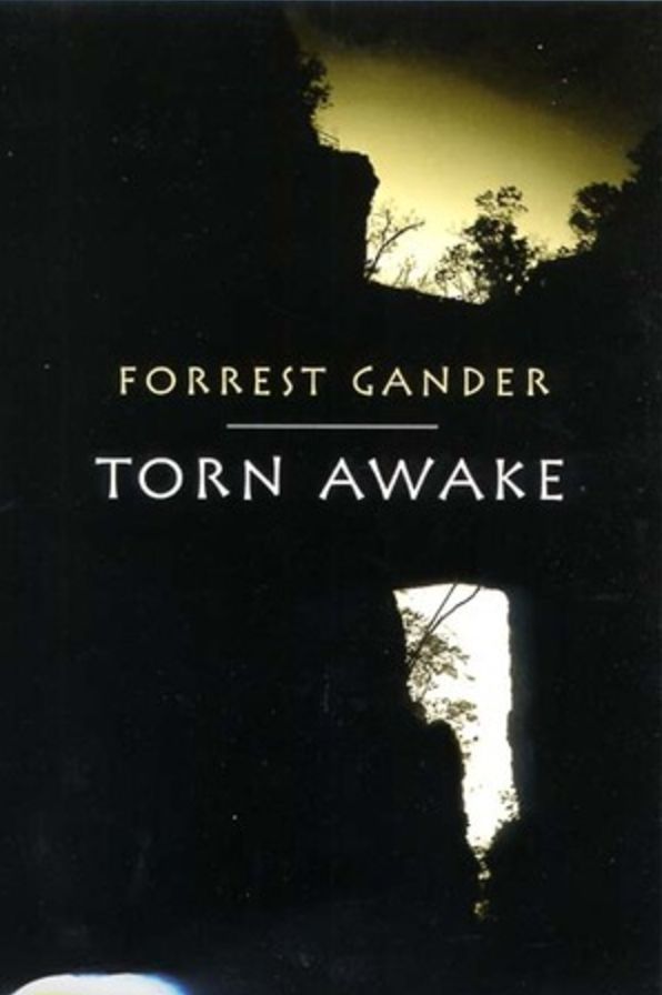 Torn Awake