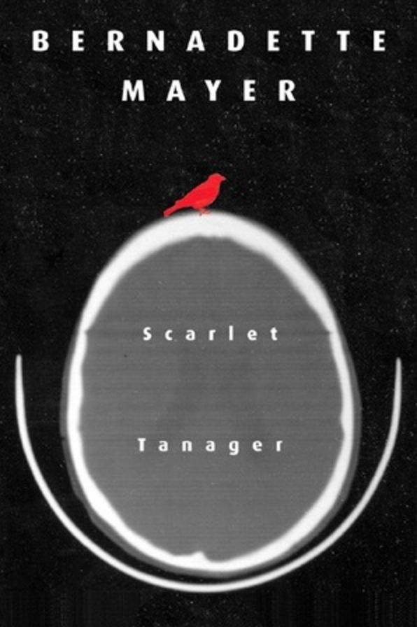 Scarlet Tanager