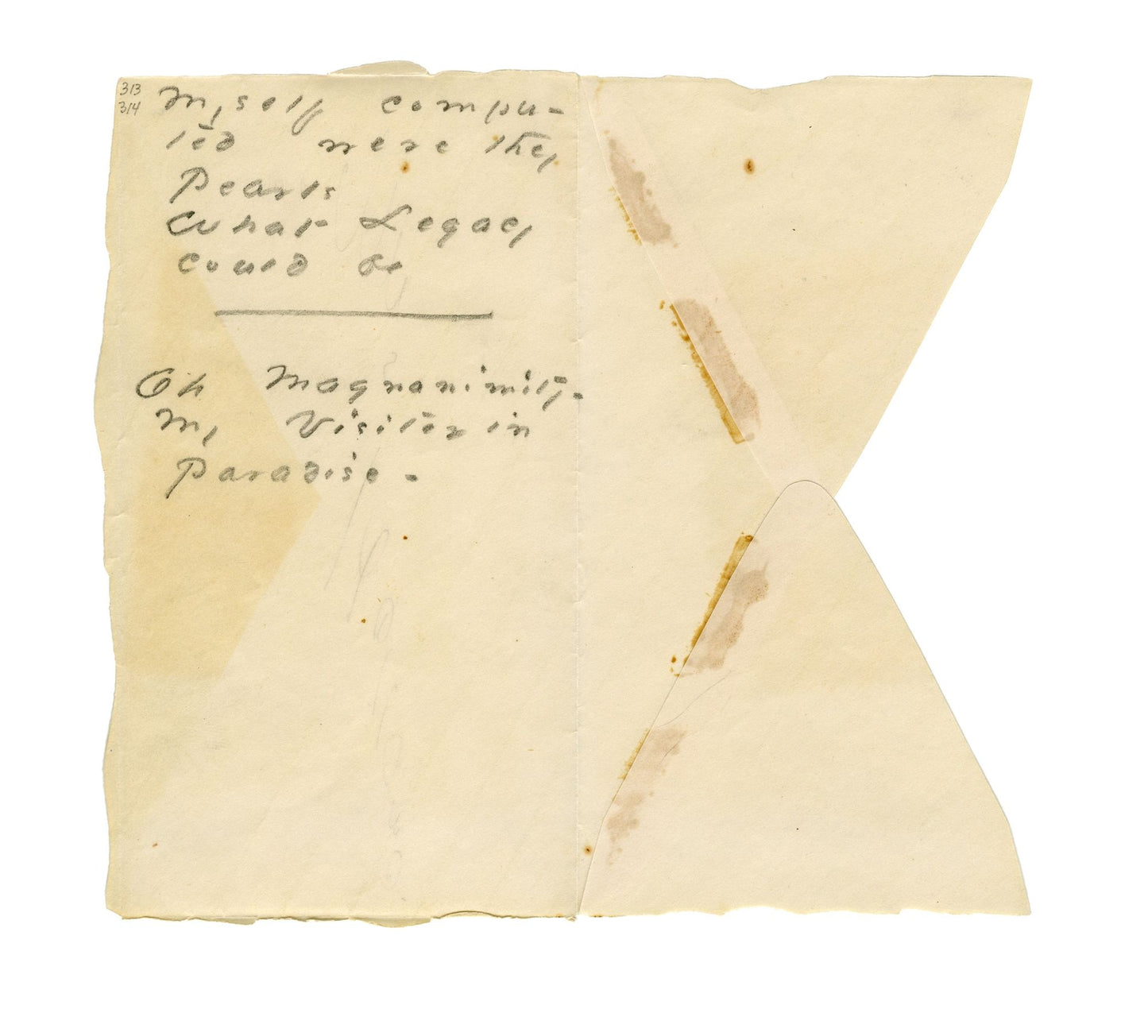 The Gorgeous Nothings: Emily Dickinson's Envelope Poems