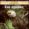 Las Aguilas