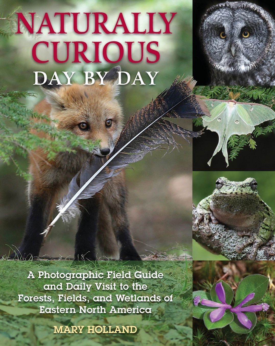 Naturally Curious Day by Day: A Photographic Field Guide and Daily Visit to the Forests, Fields, and Wetlands of Eastern North America