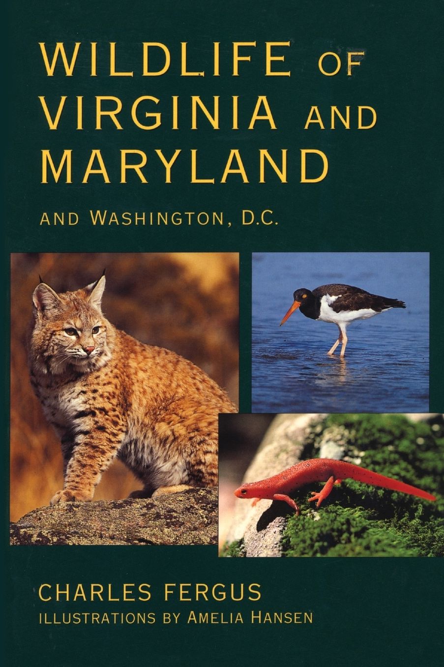 Wildlife of Virginia and Maryland and Washington, D.C.