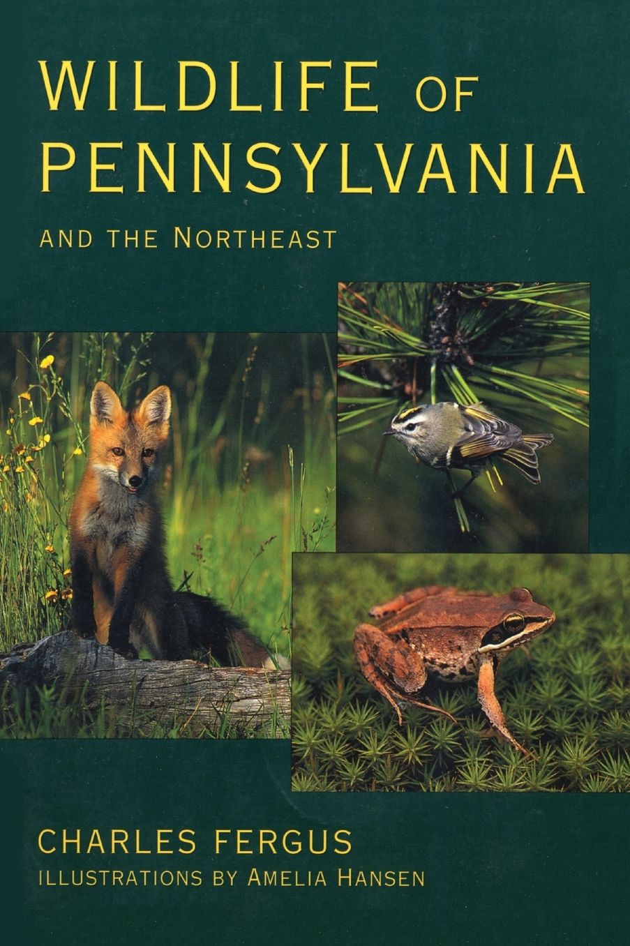 Wildlife of Pennsylvania: and the Northeast