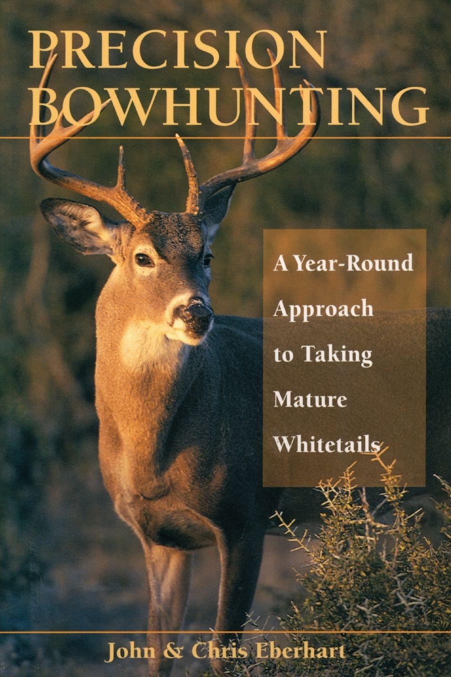 Precision Bowhunting: A Year-Round Approach to Taking Mature Whitetails