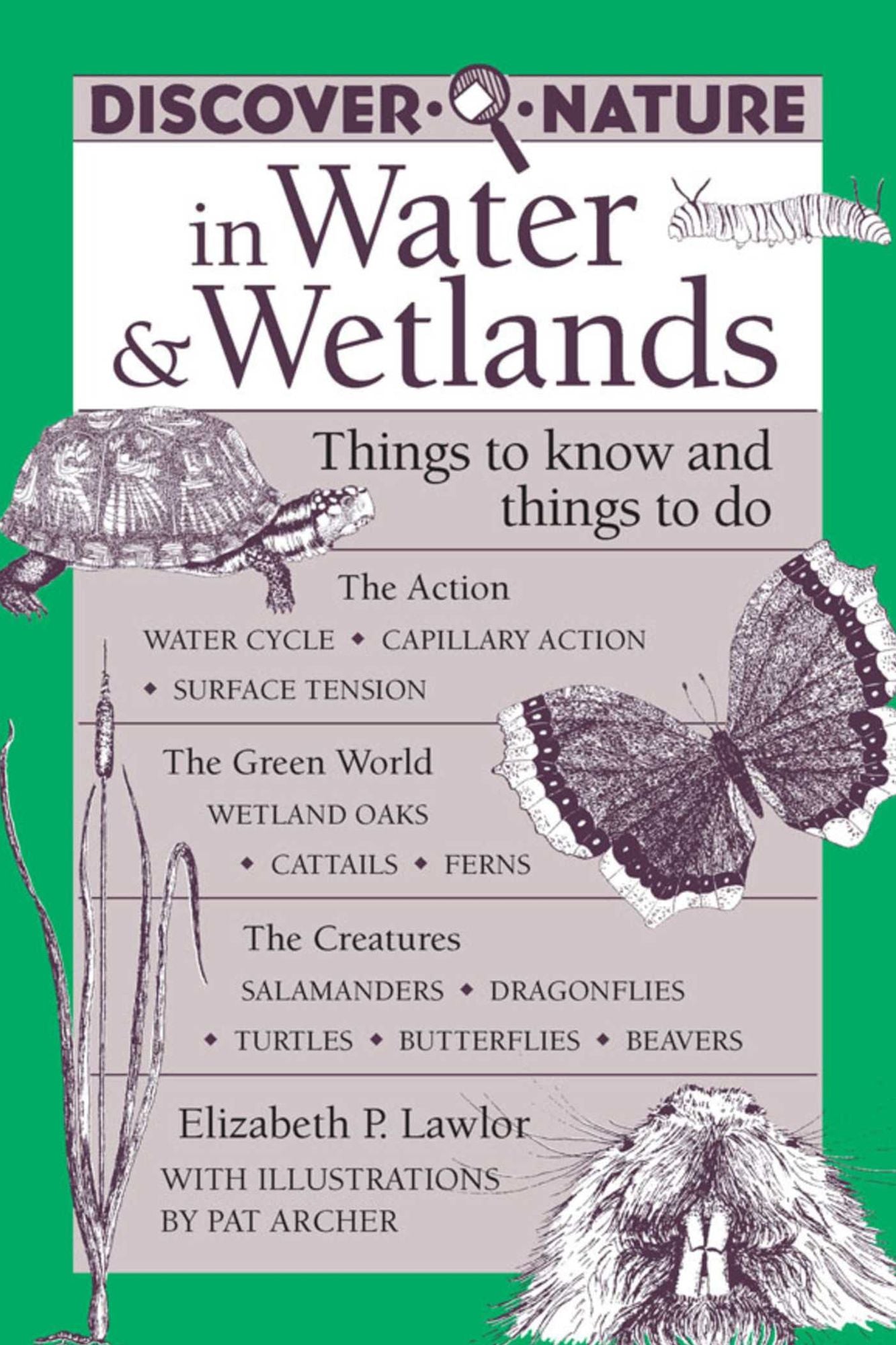 Discover Nature in Water & Wetlands: Things to Know and Things to Do