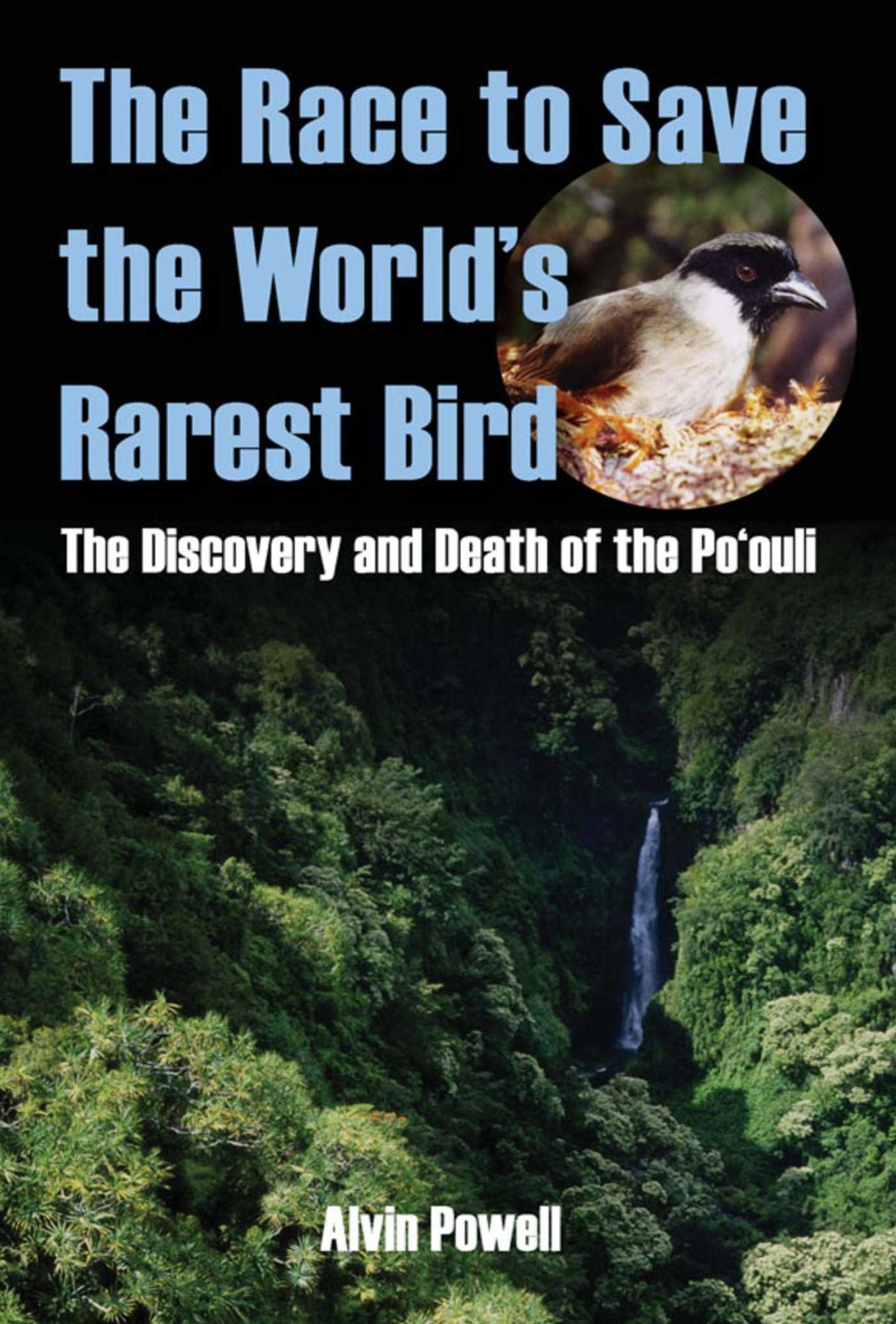 The Race to Save the World's Rarest Bird: The Discovery and Death of the Po'ouli