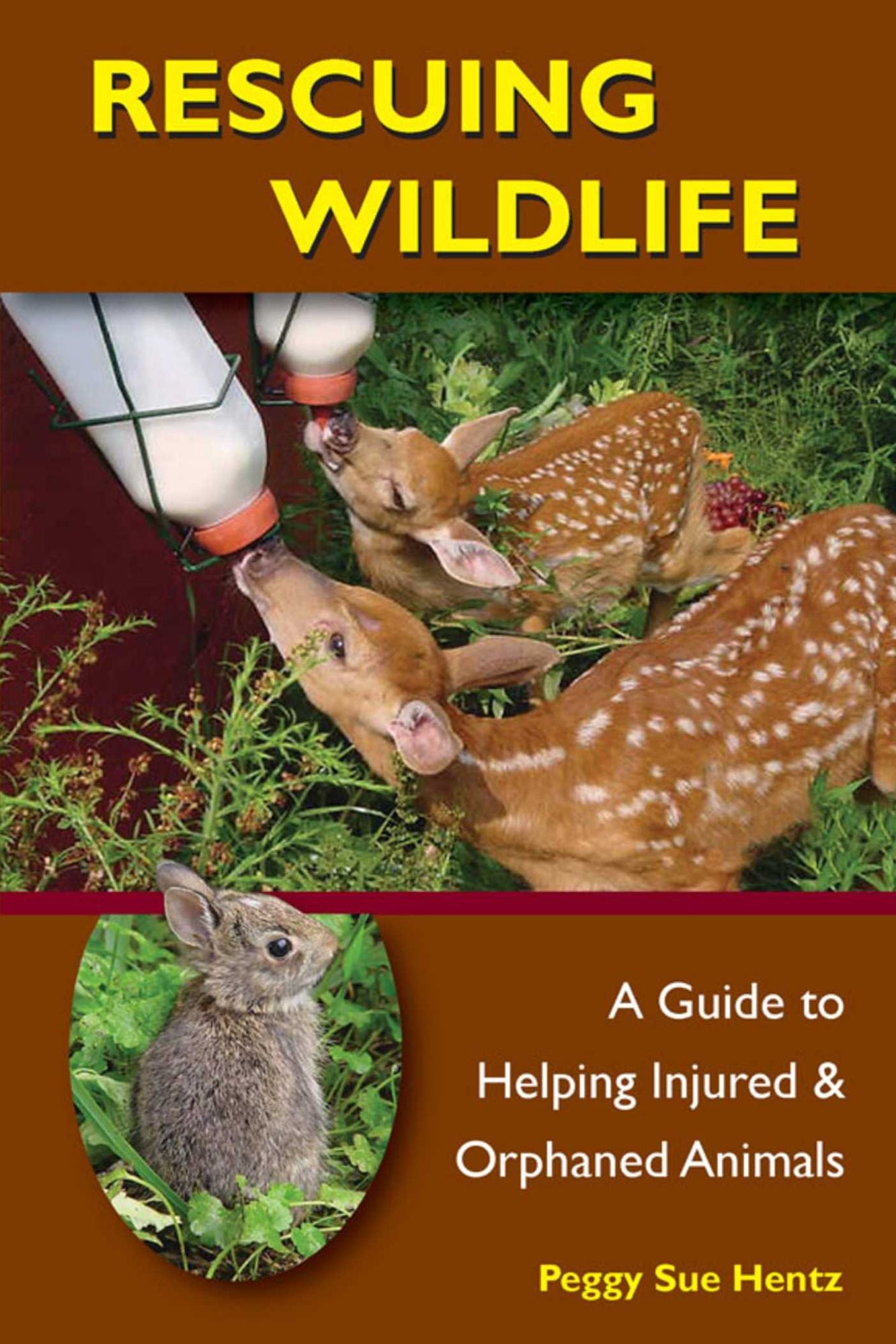 Rescuing Wildlife: A Guide to Helping Injured & Orphaned Animals