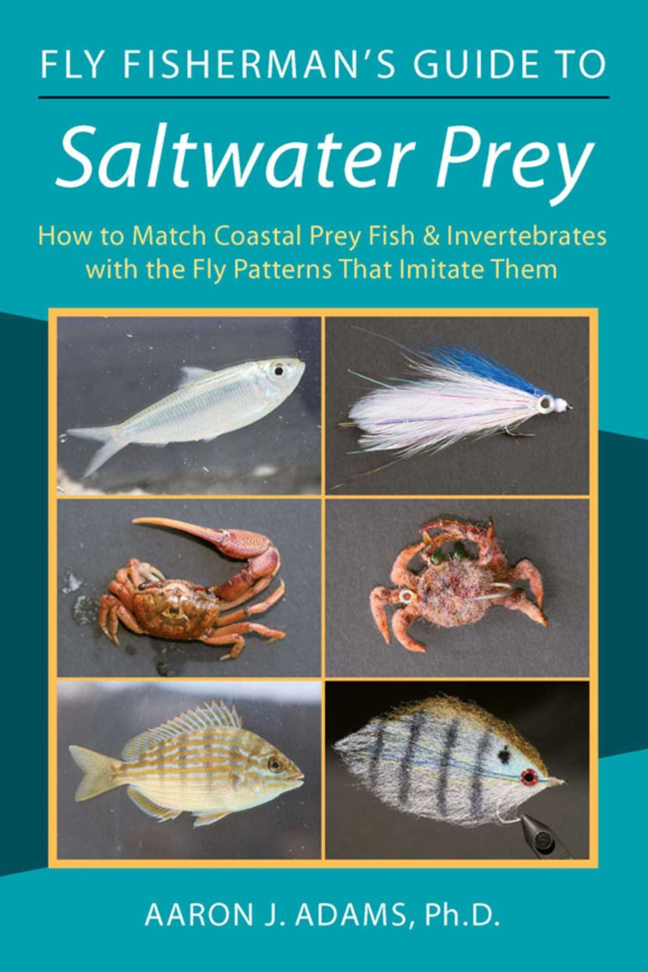 Fly Fisherman's Guide to Saltwater Prey: How to Match Coastal Prey Fish & Invertebrates with the Fly Patterns That Imitate Them