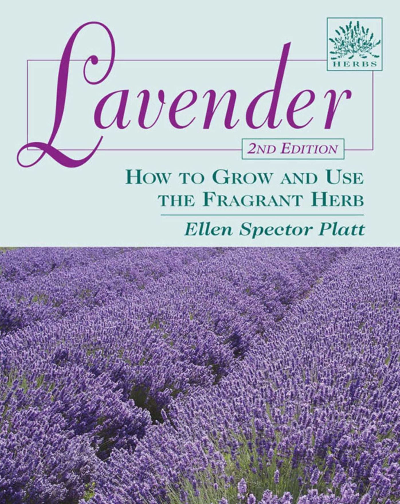 Lavender: How to Grow and Use the Fragrant Herb