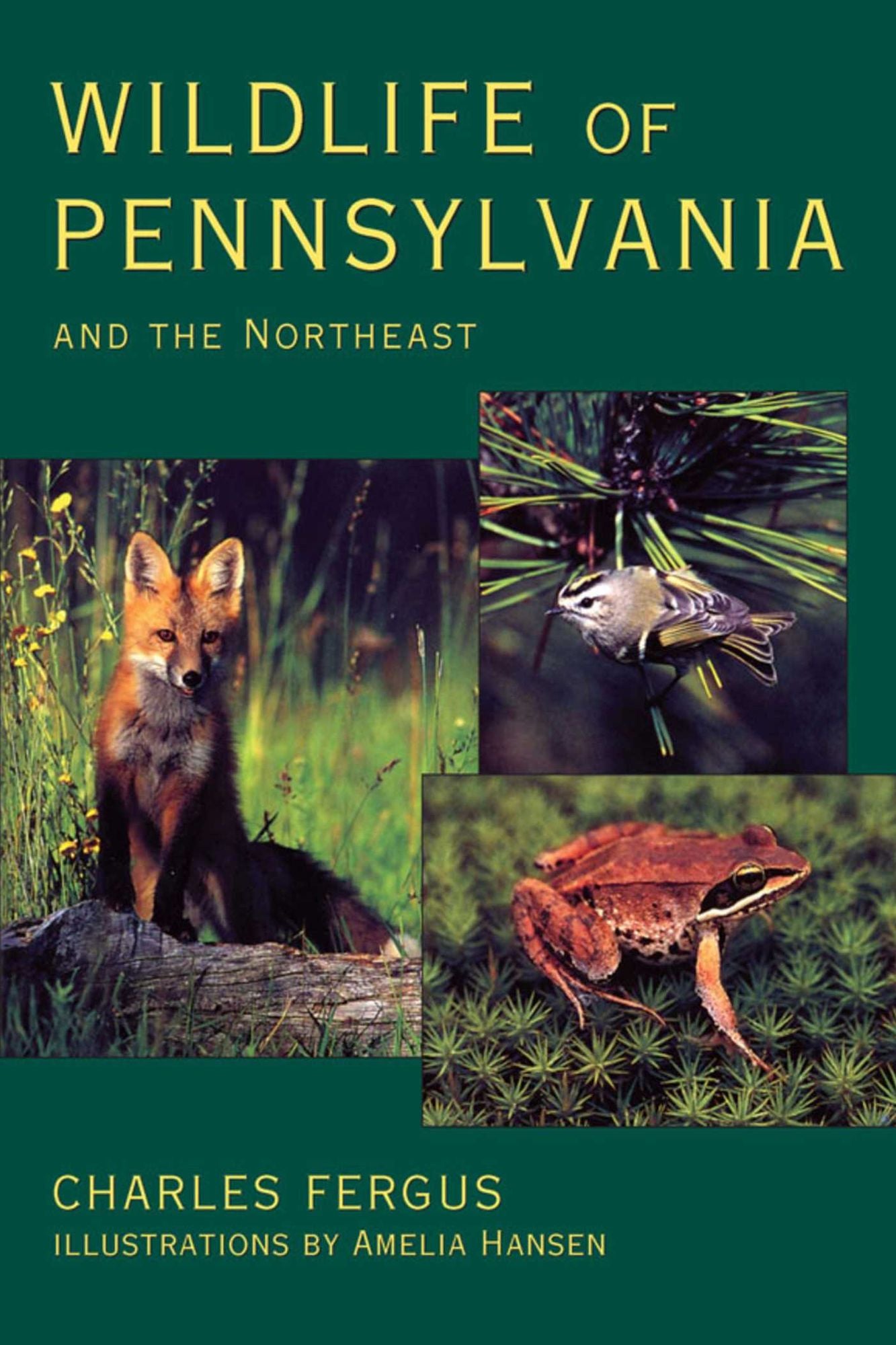 Wildlife of Pennsylvania: and the Northeast