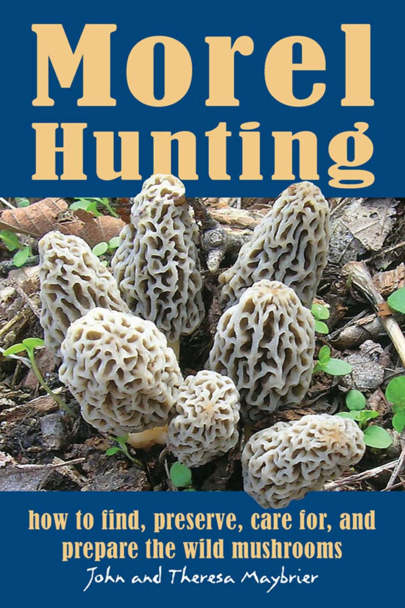 Morel Hunting: How to Find, Preserve, Care for, and Prepare the Wild Mushrooms