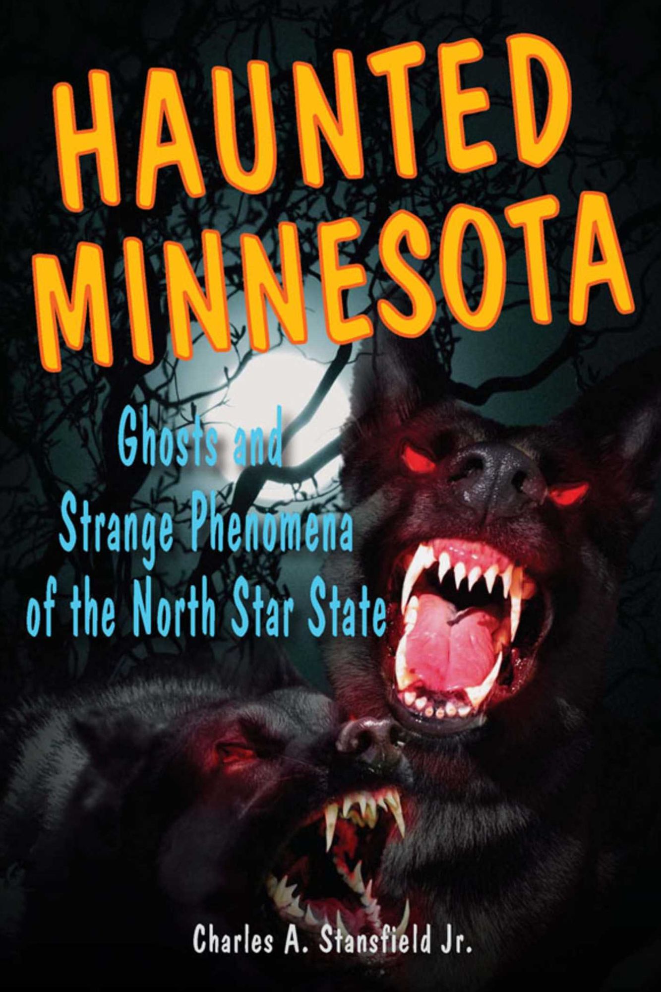 Haunted Minnesota: Ghosts and Strange Phenomena of the North Star State