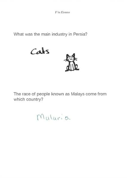 F in Exams: The Very Best Totally Wrong Test Answers