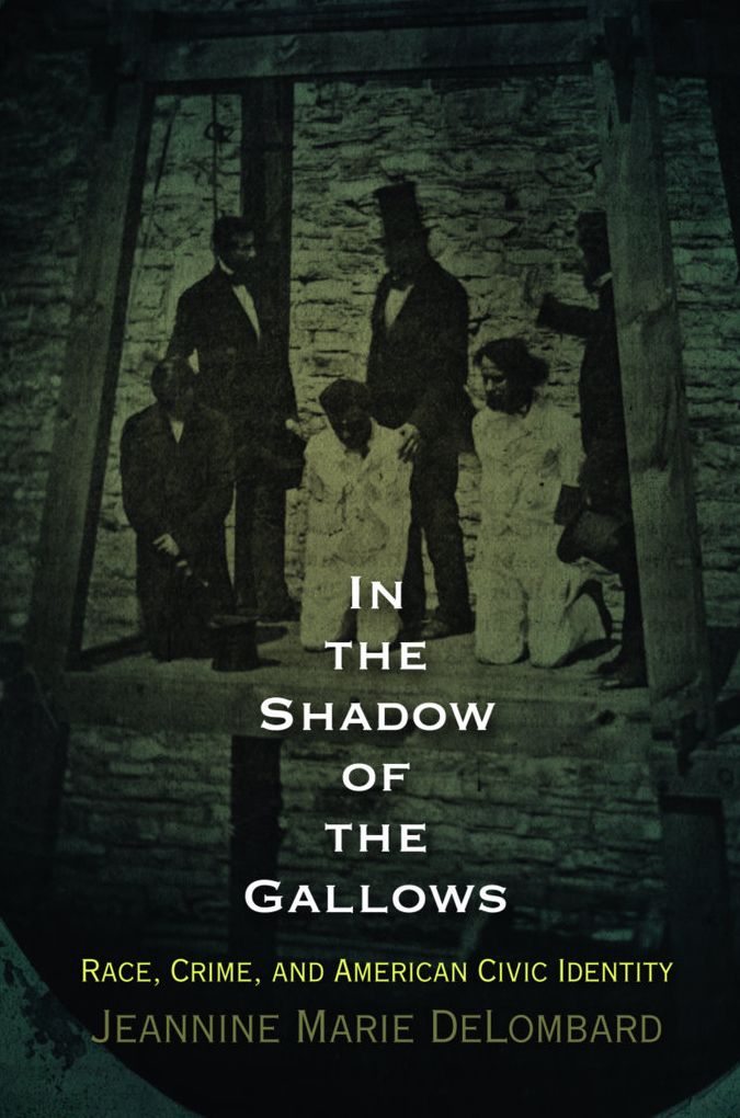 In the Shadow of the Gallows : Race, Crime, and American Civic Identity