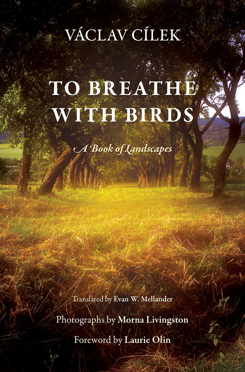 To Breathe With Birds : A Book of Landscapes