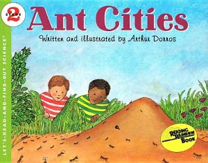 Ant Cities