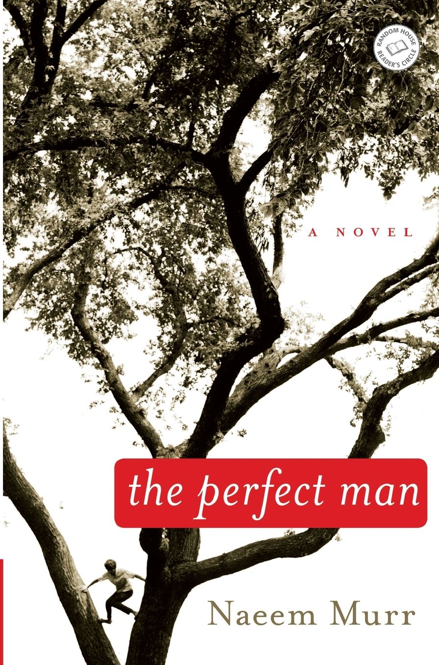 The Perfect Man
