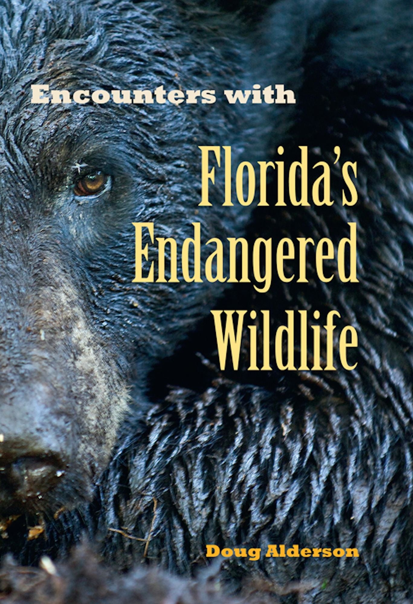 Encounters with Florida?s Endangered Wildlife