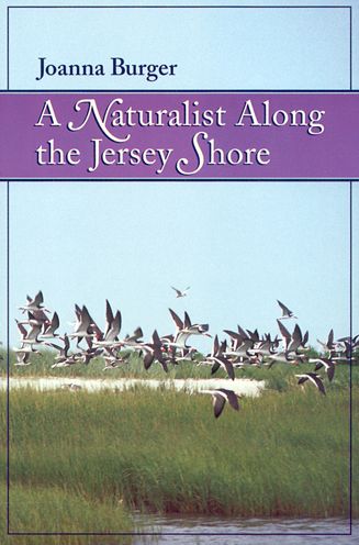 A Naturalist along the Jersey Shore