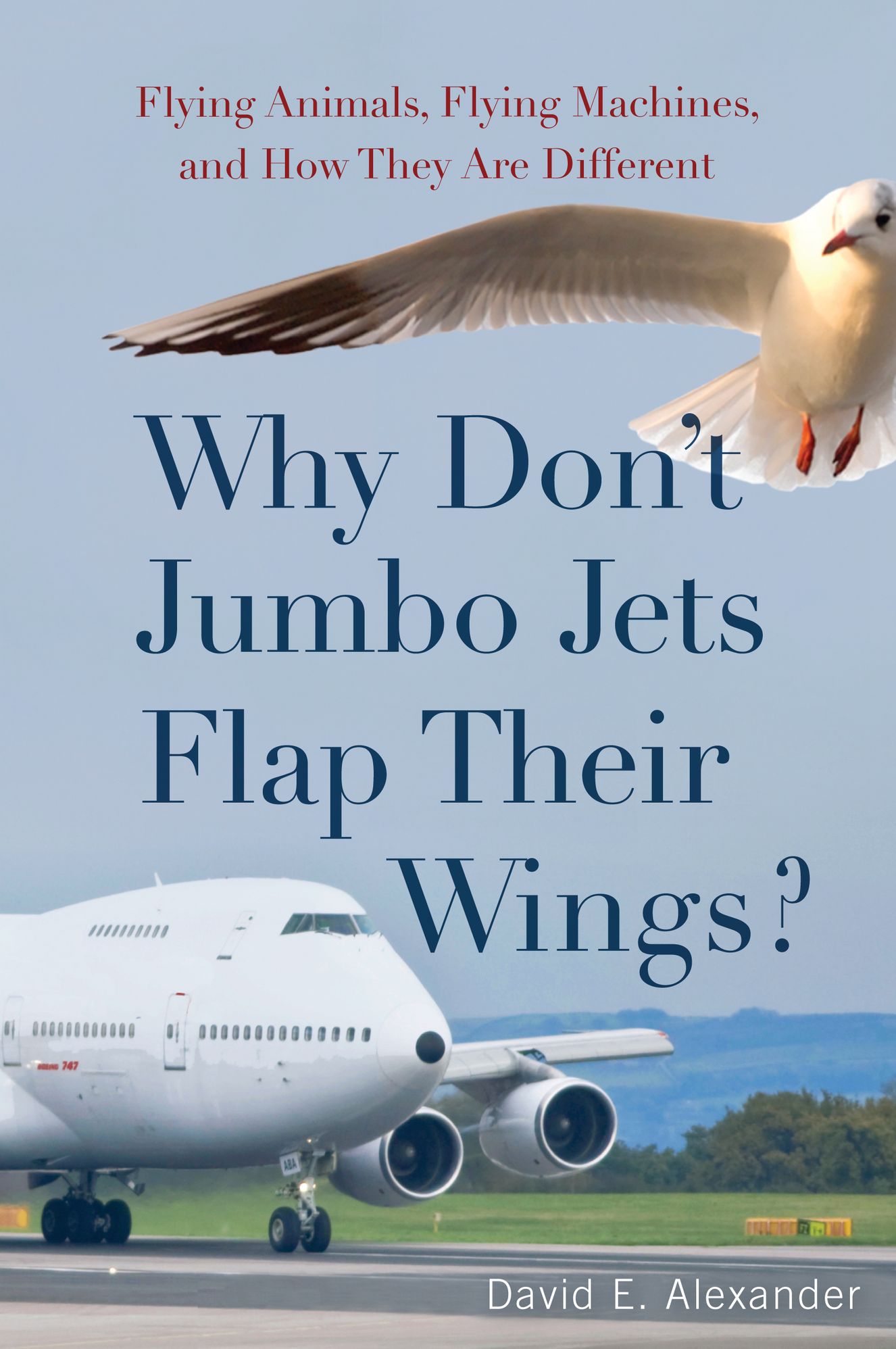 Why Don't Jumbo Jets Flap Their Wings?: Flying Animals, Flying Machines, and How They Are Different