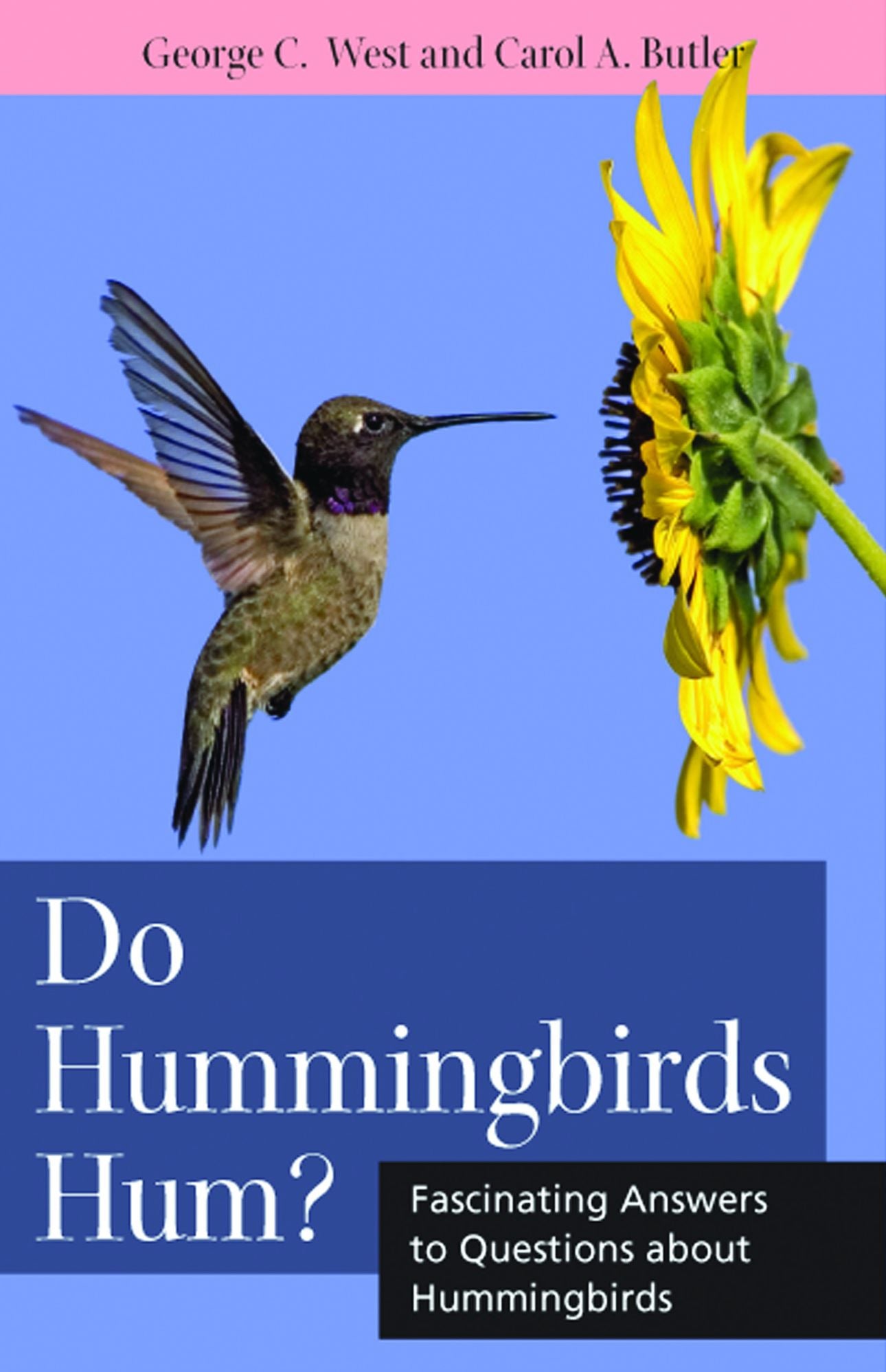Do Hummingbirds Hum?: Fascinating Answers to Questions about Hummingbirds