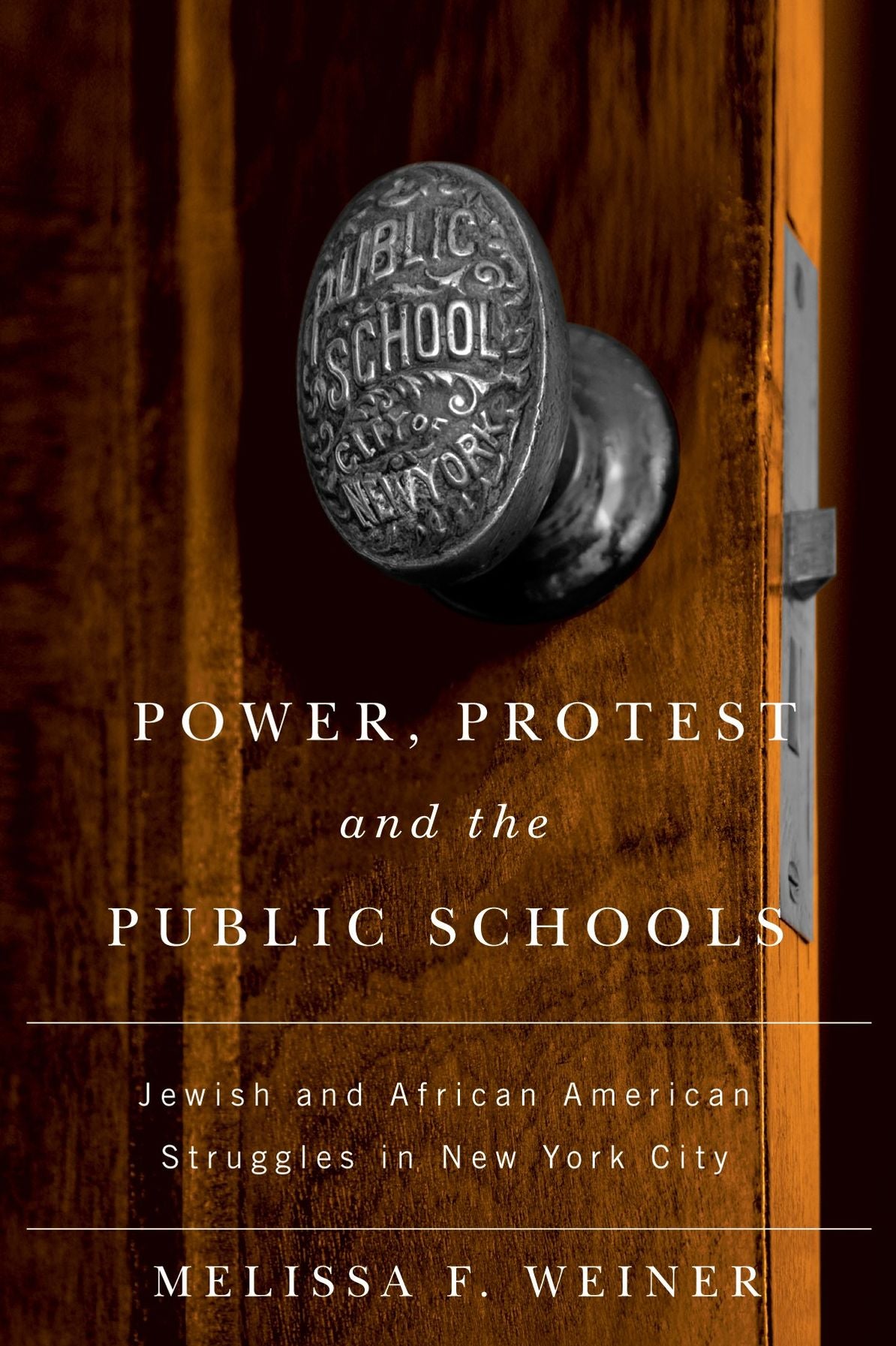 Power, Protest, and the Public Schools: Jewish and African American Struggles in New York City