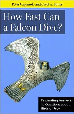 How Fast Can A Falcon Dive?: Fascinating Answers to Questions about Birds of Prey