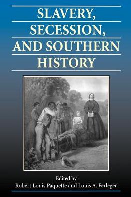 Slavery, Secession, and Southern History
