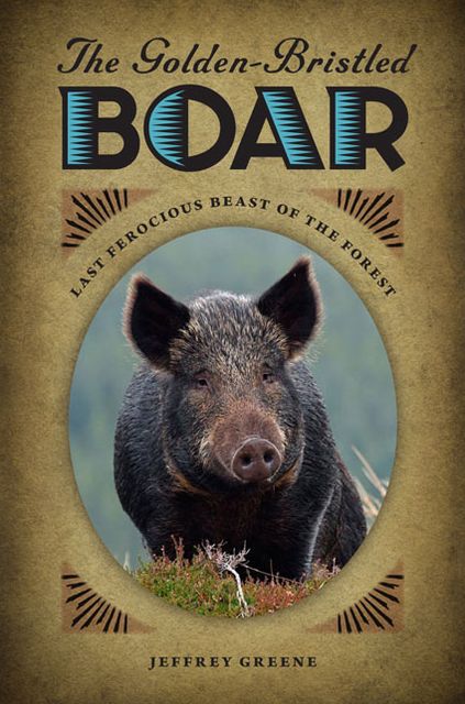 The Golden-Bristled Boar: Last Ferocious Beast of the Forest