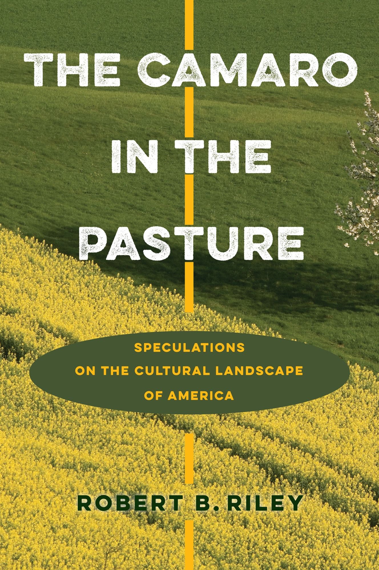 The Camaro in the Pasture: Speculations on the Cultural Landscape of America