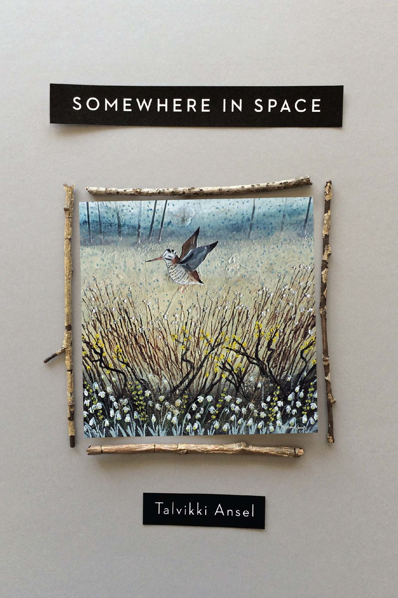 Somewhere in Space