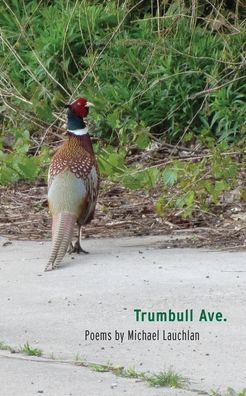 Trumbull Ave.