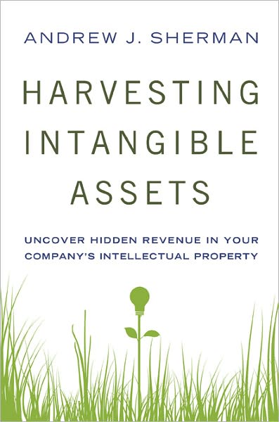 Harvesting Intangible Assets: Uncover Hidden Revenue in Your Company's Intellectual Property