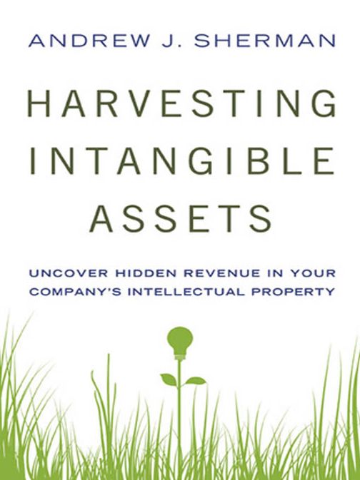 Harvesting Intangible Assets: Uncover Hidden Revenue in Your Company's Intellectual Property