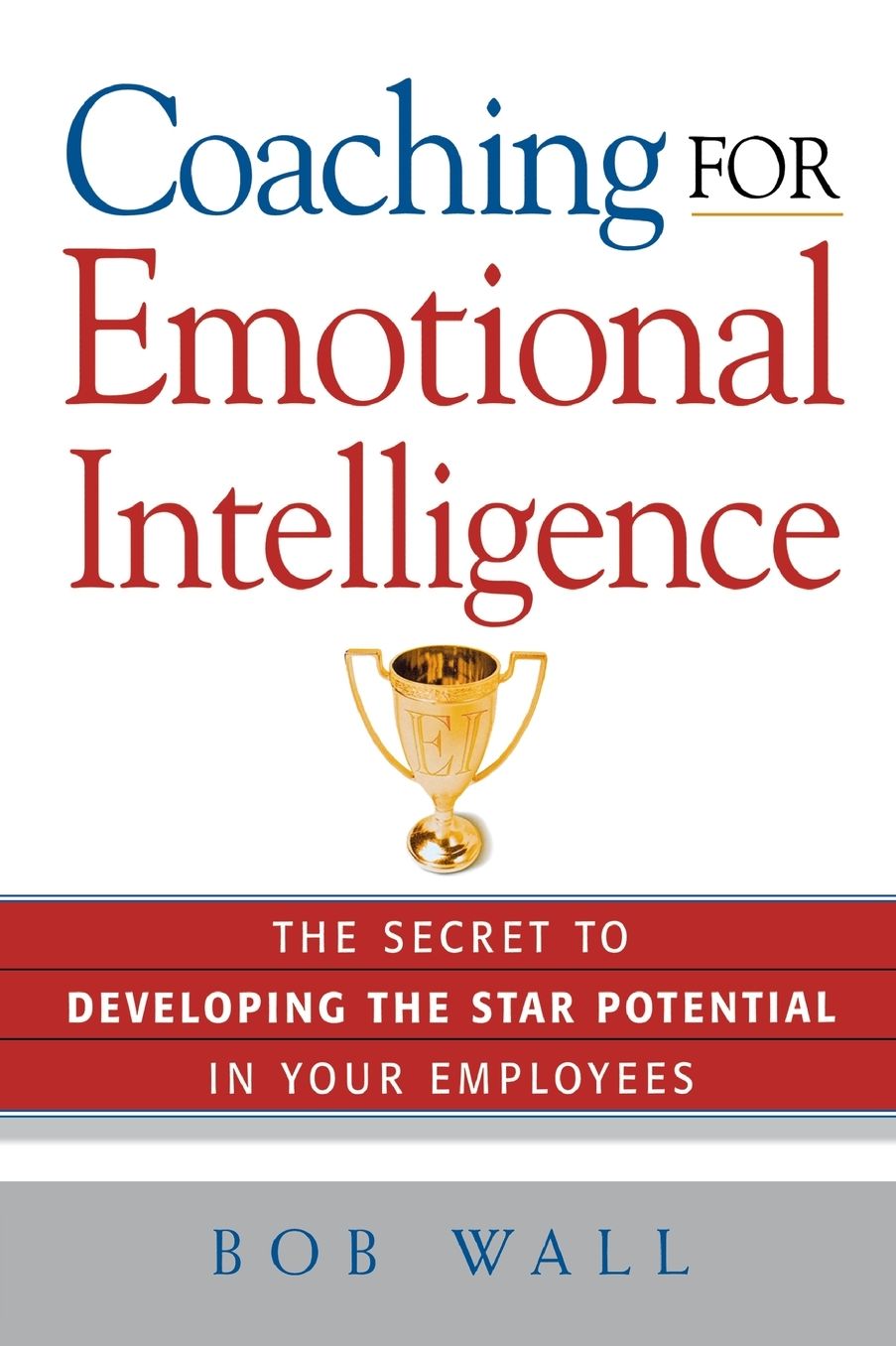 Coaching for Emotional Intelligence: The Secret to Developing the Star Potential in Your Employees