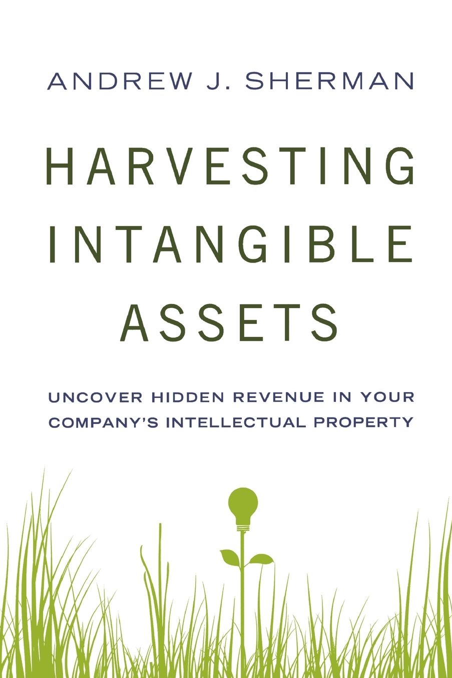 Harvesting Intangible Assets: Uncover Hidden Revenue in Your Company's Intellectual Property