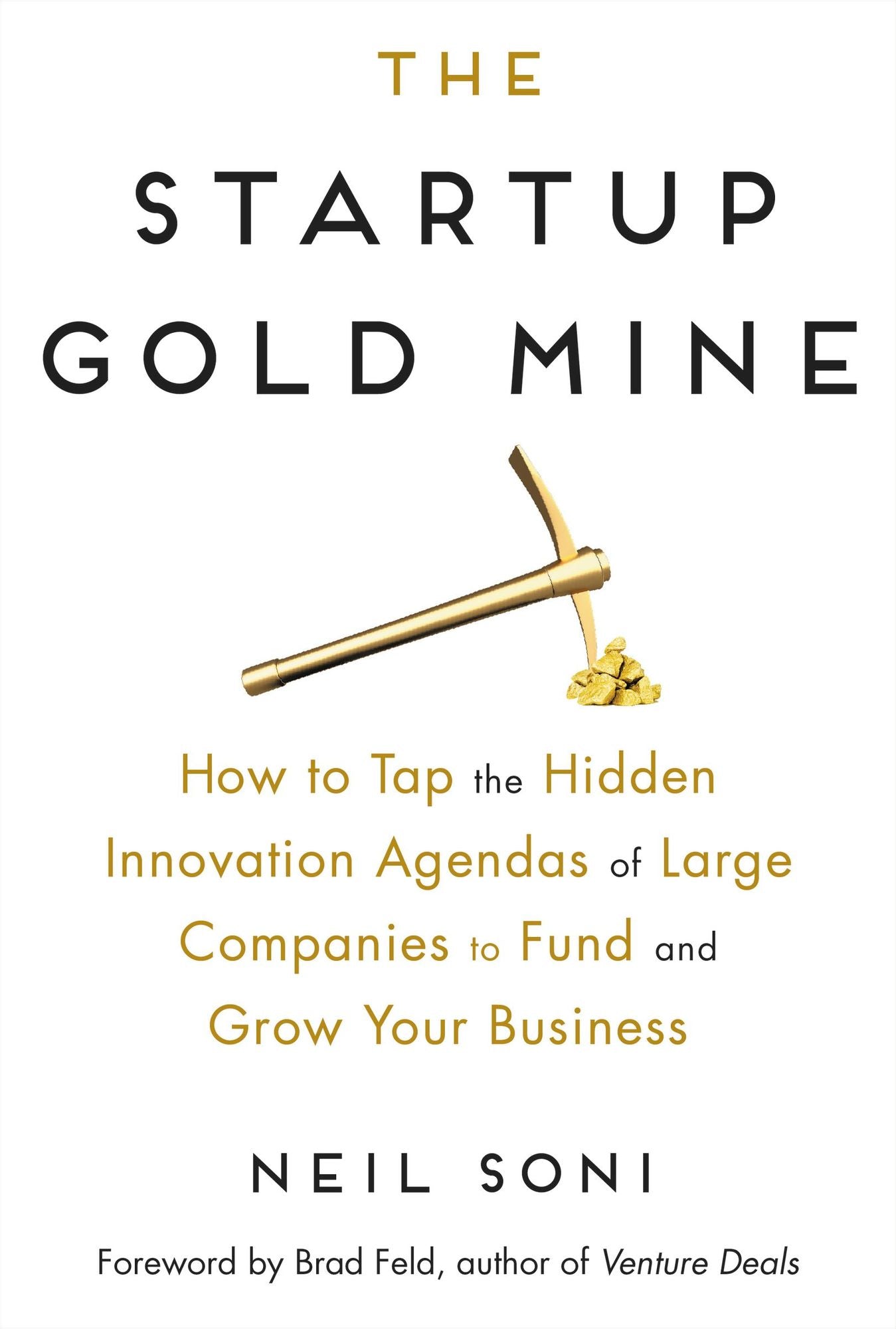The Startup Gold Mine: How to Tap the Hidden Innovation Agendas of Large Companies to Fund and Grow Your Business