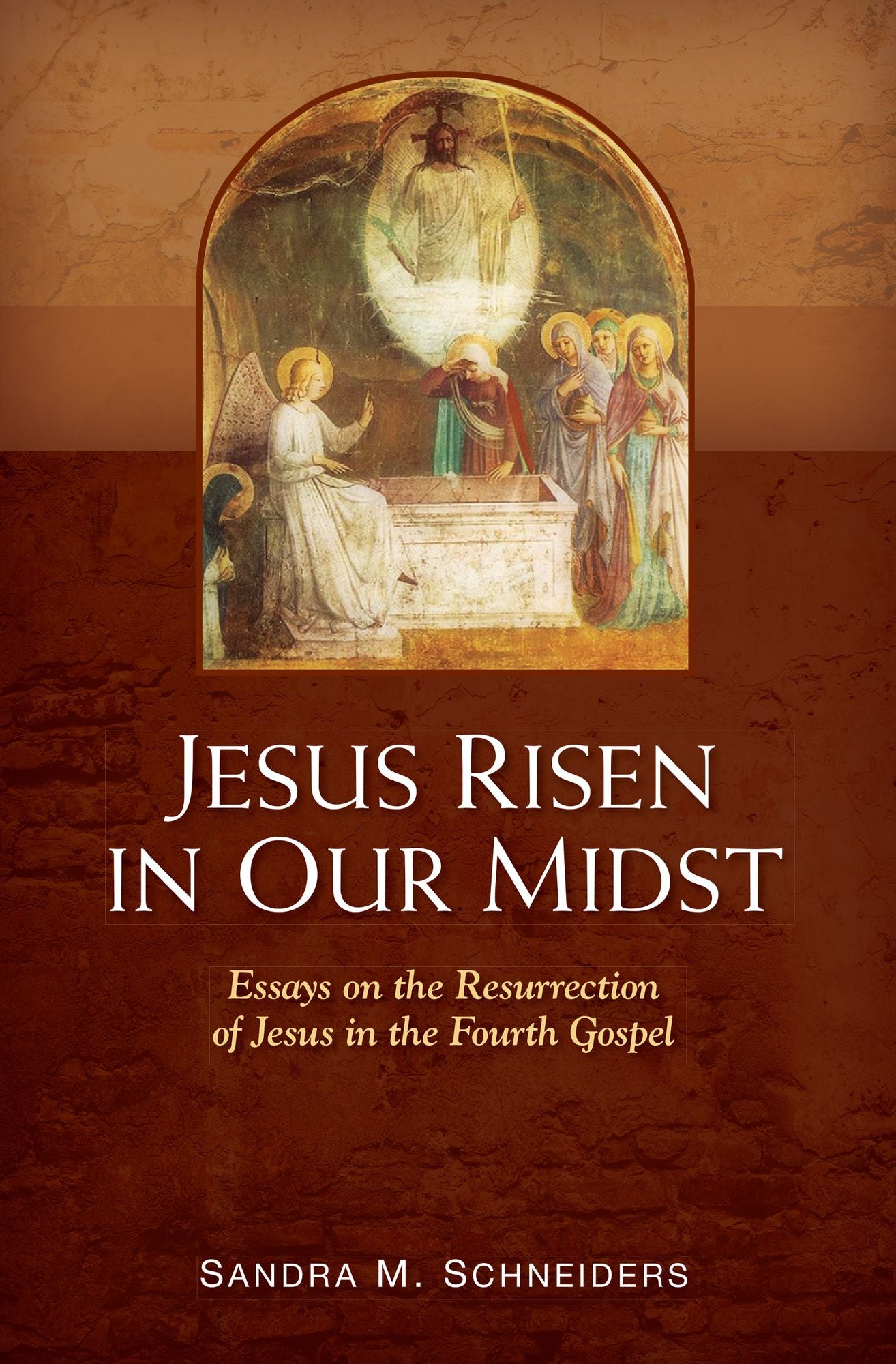 Jesus Risen in Our Midst: Essays on the Resurrection of Jesus in the Fourth Gospel