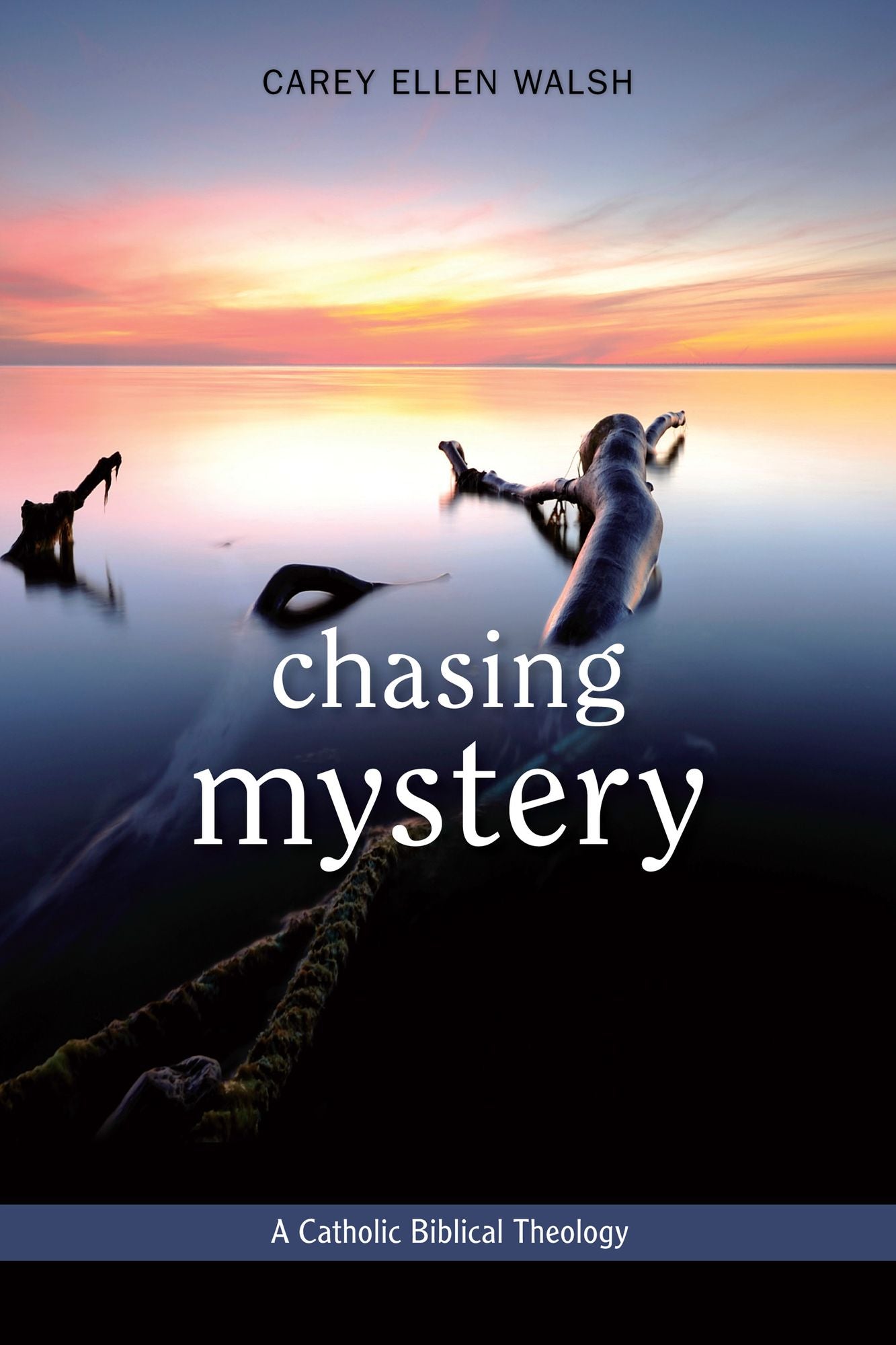 Chasing Mystery: A Catholic Biblical Theology