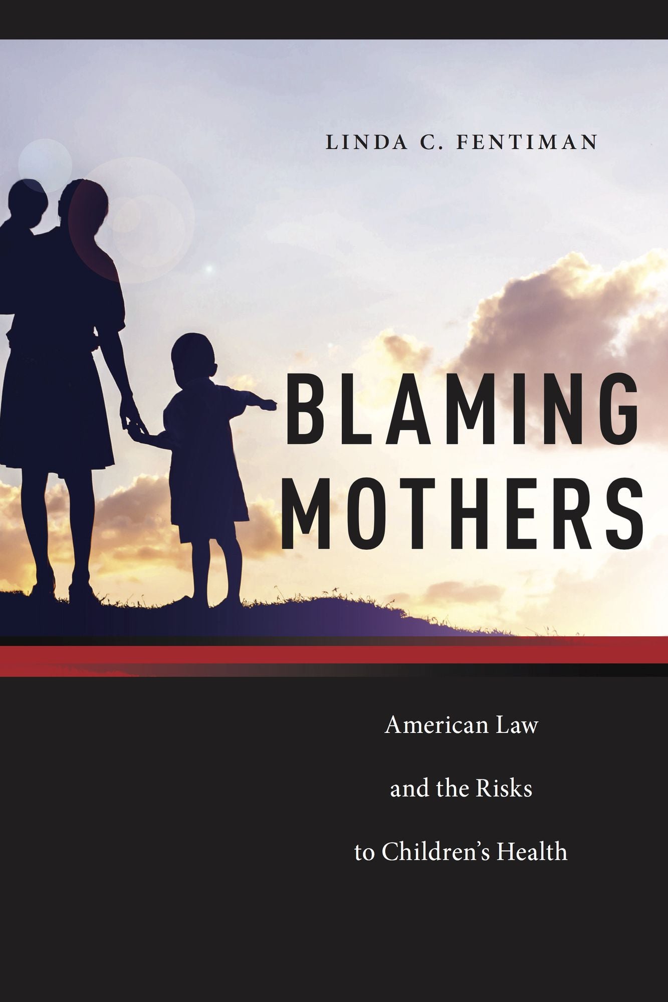 Blaming Mothers: American Law and the Risks to Children's Health