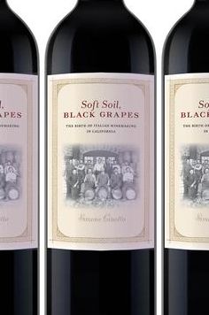Soft Soil, Black Grapes: The Birth of Italian Winemaking in California