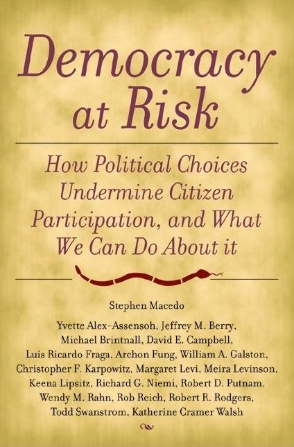Democracy at Risk: How Political Choices Undermine Citizen Participation, and What We Can Do About It