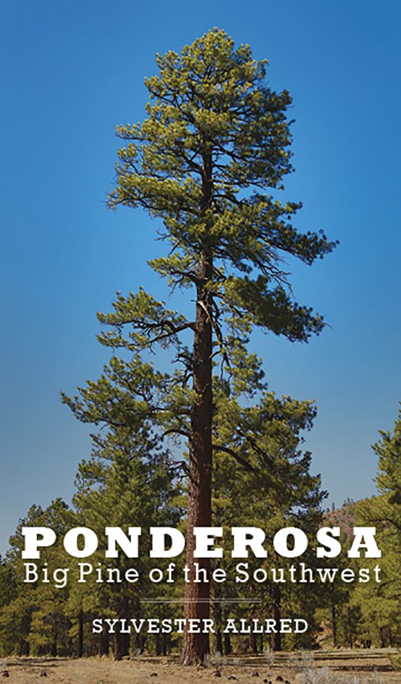 Ponderosa: Big Pine of the Southwest