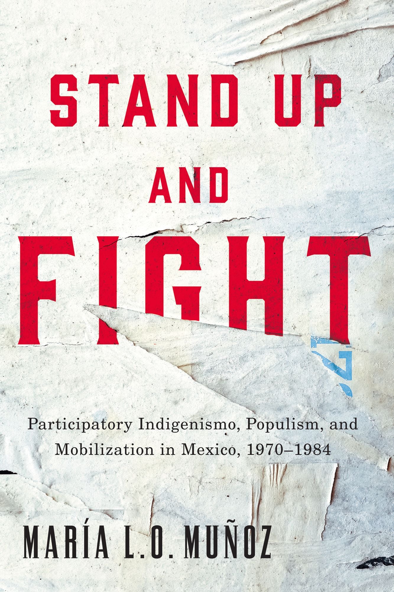Stand Up and Fight: Participatory Indigenismo, Populism, and Mobilization in Mexico, 1970-1984