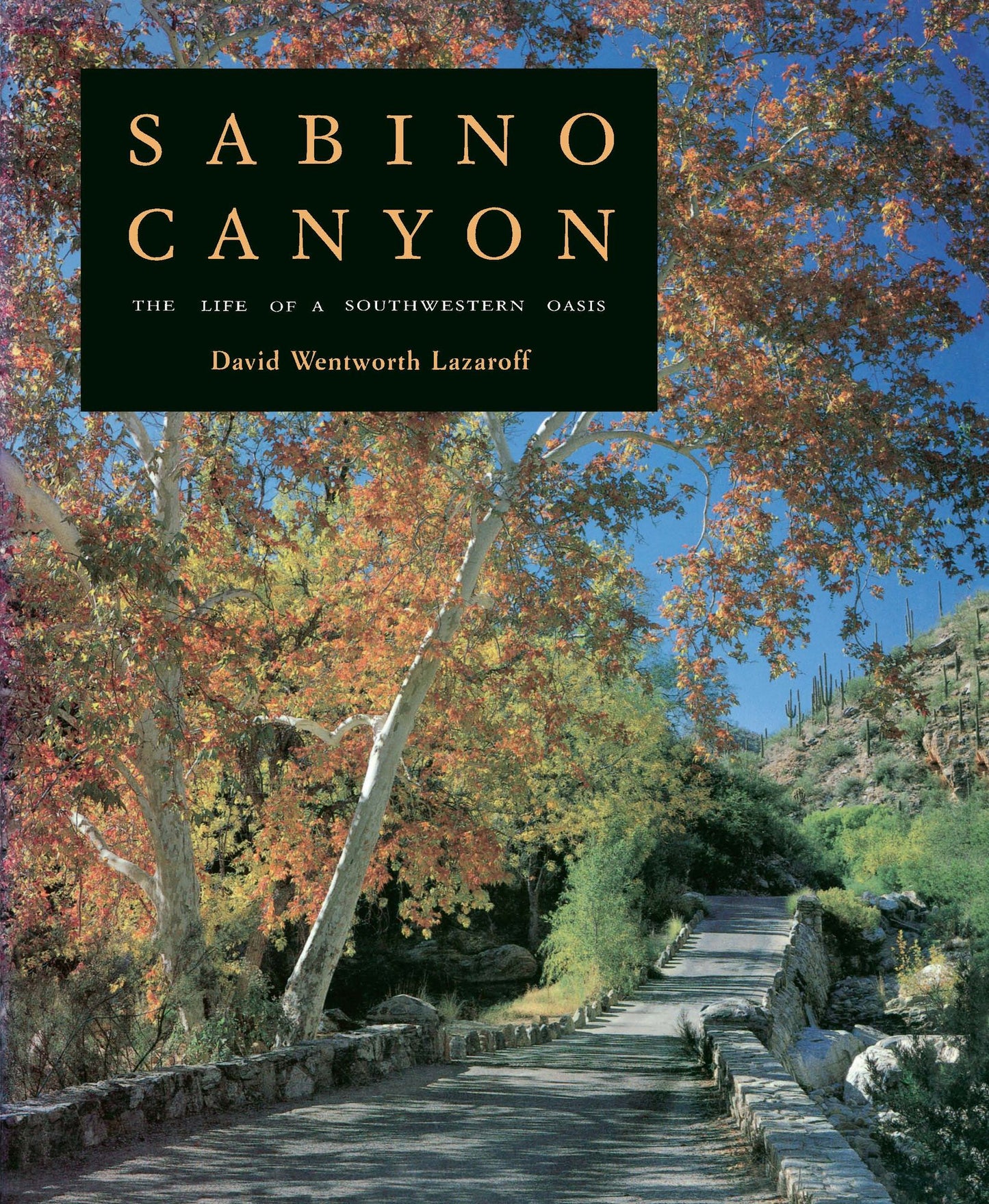 Sabino Canyon: The Life of a Southwestern Oasis