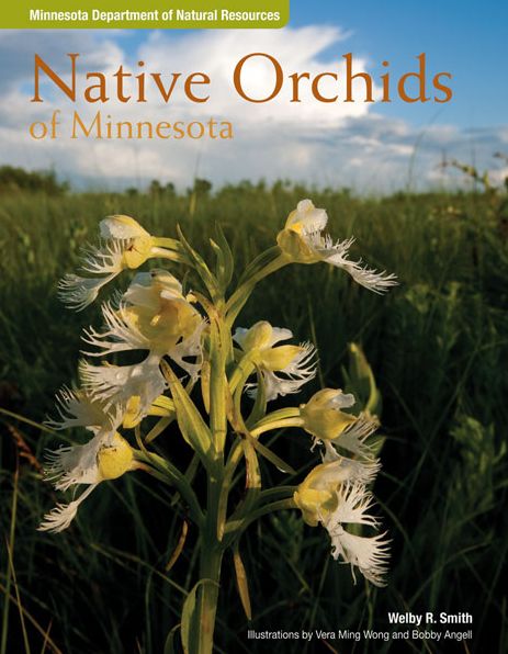 Native Orchids of Minnesota