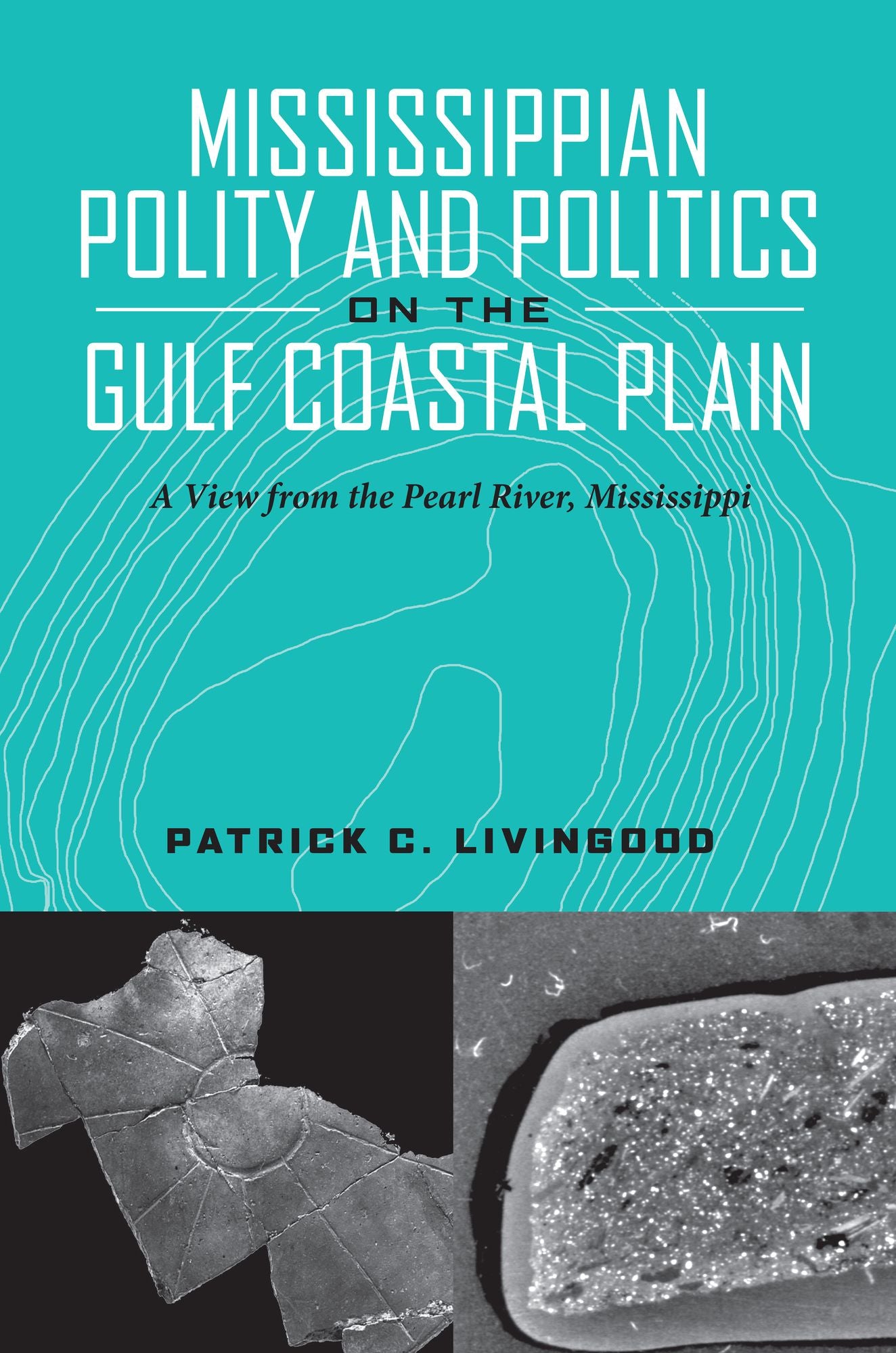 Mississippian Polity and Politics on the Gulf Coastal Plain: A View from the Pearl River, Mississippi