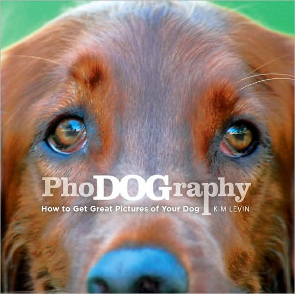 PhoDOGraphy: How to Get Great Pictures of Your Dog