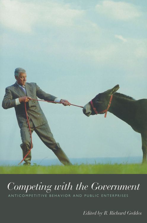 Competing with the Government: Anticompetitive Behavior and Public Enterprises