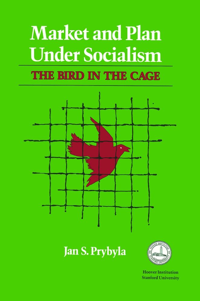 Market And Plan Under Socialism